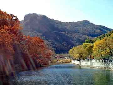 管家婆黑白马报图库，杨陈